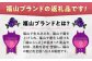 自分で組み立て！おしゃれに飾る格子額 インテリア 写真 組立 壁掛け はがき 