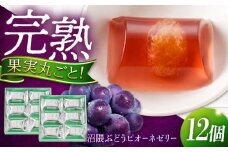 ゼリー 瀬戸内産 沼隈ぶどうピオーネゼリー 12個入り ゼリー スイーツ デザート おやつ 果物 お菓子 スイーツ 甘い 広島県福山市/有限会社勉強堂 [BAFL005]