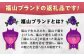 肉 豚肉 ジャーキー ポークジャーキー おつまみ 常温 贈答 ギフト プレゼント