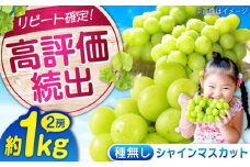 【限定1000セット】沼隈ぶどう シャインマスカット 約1kg(2房) 9月上旬〜9月下旬頃発送 福山市/福山市農業協同組合 2025年先行予約 数量限定 期間限定 ぶどう ブドウ 葡萄 種なし たねなし 大粒 マスカット シャインマスカット しゃいんますかっと 果物 フルーツ [BAEV005]