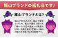 御朱印、御城印をおしゃれに飾る！ インテリア 御朱印帳 置き物 置物 飾り棚