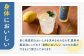 厳選レモンが香る贅沢なお酒 酒 お酒 カクテル リキュール レモンリキュール