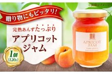 ジャム 田尻あんずのアプリコットジャム 120g 1個入り 広島県福山市/田尻杏屋 あんず アプリコット 杏 フルーツ 果物 [BAEK002]