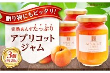 ジャム 田尻あんずのアプリコットジャム 120g 3個入り 広島県福山市/田尻杏屋 あんず アプリコット 杏 フルーツ 果物 [BAEK001]