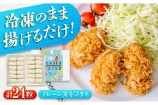 冷凍 カキフライ  (プレーン)  広島県産 冷凍カキフライ 広島牡蠣 牡蠣 かき カキ  料理 簡単 魚介類 海鮮 ギフト 広島県福山市/クニヒロ株式会社 [BACG003]