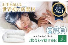 洗える 人工羽毛布団 2枚合わせ 掛け布団 ジュニア エシカルダウンリッチ 広島県福山市/イシケン株式会社 2枚組 羽毛布団 羽毛ふとん 掛けふとん 日本製 オールシーズン 春用 夏用 秋用 冬用 掛布団 寝具 アレルギー対策  サステナブル こども 子供用 洗濯可 丸洗い 安眠 睡眠 快眠 快適 熟睡 国産 広島 福山 [BAAK088]