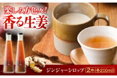 国産生姜シロップ ジンジャーシロップ珠玉 200ml×2本 詰合せ　広島県福山市/ジンジャーダイヤモンド 生姜 しょうが ショウガ シロップ 生姜シロップ 生姜湯 国産 [BAAV004]