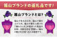 福山ブランド認定品！生姜 シロップ ジンジャー 生姜 しょうが湯