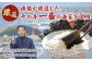 漁協が厳選した、その年一番の海苔を使用 のり 海苔 味付け海苔 味付け ギフト
