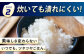 「塩まき製法」が引き出すお米の甘みと旨み 法成米 お米 こめ 白米 ヒノヒカリ