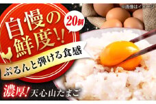 卵 天心山 たまご 20個入り 卵 たまご 高級 食品 たまごかけご飯 卵かけご飯 卵焼き 生卵 濃厚 ケーキ お菓子 づくり ランキング 上位 人気 おすすめ 定期便 広島県福山市/天心山ファーム [BABW003]