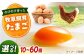 ストレスフリーな環境で飼育！卵 鶏卵 たまご 高級 生卵 濃厚 ケーキ お菓子