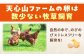 ストレスフリーな環境で飼育！卵 鶏卵 たまご 高級 生卵 濃厚 ケーキ お菓子
