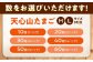 ストレスフリーな環境で飼育！卵 鶏卵 たまご 高級 生卵 濃厚 ケーキ お菓子