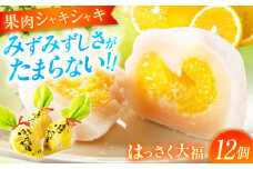 フルーツ大福 はっさく大福 12個 入 お菓子 大福 八朔 柑橘 みかん オレンジ 餅 ギフト お取り寄せ スイーツ フルーツ大福 ご当地 菓子 おかし デザート 食品 人気 おすすめ 広島県福山市/株式会社虎屋本舗 はっさく 八朔 フルーツデザート お土産 生菓子 和菓子 プレゼント 甘味 甘党 広島 福山 白あん 甘さ控えめ 　[BADH012]
