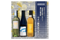 【びんご圏域連携】せらワイナリー・山野峡大田ワイナリー・瀬戸内醸造所　ワイン飲み比べセット