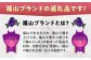 モンスターボールが虫かごに！虫とり 昆虫採取 ケース ポケモン マスターボール