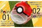 マスターボールが虫かごに！虫とり 昆虫採取 ケース ポケモン モンスターボール