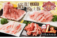 「 瀬戸 の もち豚 せと姫 」 バラエティセット 約1,200g  ( 肩ロース  バラ  小間切れ  豚トロ 各300g ) 1.2kg 冷凍 肉 広島県福山市/日本畜産株式会社 豚肉 ぶたにく こま切れ ロース しゃぶしゃぶ 小分け 詰め合わせ セット 4種 豚バラ 豚ロース 広島 福山 [BAER012]