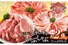 「 瀬戸 の もち豚 せと姫 」たっぷり セット 約2,900g ( ロースステーキ  肩ロース  バラ )  3種 冷凍 肉広島県福山市/日本畜産株式会社 豚肉 ぶたにく しゃぶしゃぶ ステーキ 小分け 豚ロース 豚バラ トンテキ ステーキ肉 ステーキ しゃぶしゃぶ鍋 バラ肉 ポーク ポークステーキ 広島 福山  [BAER024]