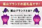 肉 豚肉 ロース バラ しゃぶしゃぶ セット 食べ比べ 贈答 ギフト プレゼント