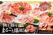「 瀬戸 の もち豚 せと姫 」 スペシャル セット 約2,560g ( ロース ×2種・ 肩ロース ×2種・ バラ ・ ヒレ ・ 小間切れ ・ 豚トロ ) 冷凍 肉 広島県福山市/日本畜産株式会社 豚肉 ぶたにく こま切れ しゃぶしゃぶ 小分け 豚ロース 豚バラ フィレ ヒレ肉 こま切れ肉 詰め合わせ ギフト 贈答 広島 福山 [BAER028]