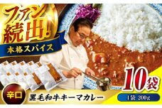 カレー 秘密の黒毛和牛キーマカレー10袋 カレー 冷凍 辛口 レストラン おすすめ 人気 福山 広島県福山市/株式会社グリル壱乃藏 [BACI002]