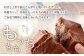 福山で大人気のグルテンフリー米粉パン