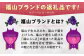 モンドセレクション3年連続最高金賞受賞 スイーツ 洋菓子 マロンドール ケーキ