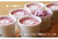 食後の贅沢アイスに♪果汁ひろがるぶどうジェラート アイス アイスクリーム