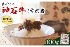 牛 神石しぐれ煮 100g×1袋 牛 ブランド牛 A4 加工品 牛しぐれ 広島県福山市/甚ごろう [BAEC003]