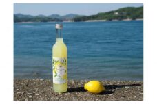 お酒 リモンチェッロセト 500ML×1本 広島県福山市/八田保命酒舗 お酒 さけ リキュール レモン 柑橘 カクテル 酒 [BAET004]