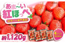 果物 【冷蔵】 こだわりの紅ほっぺ 280g 4パック 広島県福山市/立花いちご農園 いちご 苺 イチゴ 紅ほっぺ フルーツ 産地直送 [BAFN001]