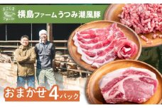 豚肉 うつみ潮風豚 精肉おまかせ4パックセット（1P/180g〜280g） 豚肉 スライス 肉 お肉 にく 食品 国産 人気 おすすめ 広島県福山市/株式会社横島ファーム [BABT002]
