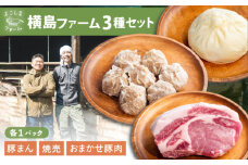 惣菜 豚まん・瀬戸田のレモン焼売・おまかせ豚肉セット 各1パック（180g〜280g） 惣菜 詰め合わせ 豚まん シュウマイ 産地直送 肉 お肉 にく 食品 ギフト セット 広島県福山市/株式会社横島ファーム [BABT001]