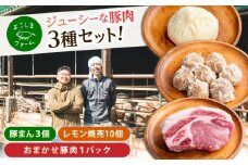 惣菜 豚まん・瀬戸田のレモン焼売・おまかせ豚肉セット 各1パック（180g〜280g） 惣菜 詰め合わせ 豚まん シュウマイ 産地直送 肉 お肉 にく 食品 ギフト セット 広島県福山市/株式会社横島ファーム [BABT001]