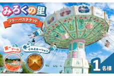 チケット みろくの里フリーパスチケット 1枚 チケット 体験 フリーパス 遊園地 昭和 イルミネーション プール 広島県福山市/ツネイシLR株式会社 [BABG001]