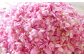 コーヒー×バラで優雅なひとときを 珈琲 薔薇 食用バラ ばら ドリップコーヒー