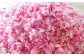 コーヒー×バラで優雅なひとときを 珈琲 薔薇 食用バラ ばら ドリップコーヒー
