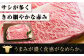 黒毛和牛最高峰！神石牛のロースステーキ肉をギフトに！国産牛肉！
