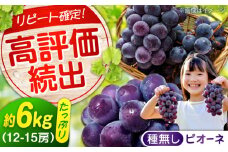 【ふるさと納税】期間限定/8月下旬〜9月上旬頃発送沼隈ぶどう「ピオーネ」 約2kg×3 12〜15房（種なし） 広島県福山市/福山市農業協同組合　沼隈グリーンセンター ぶどう ブドウ 葡萄 種なし 大粒 ピオーネ[BAEV007]