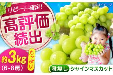 数量限定/9月上旬〜9月下旬頃発送 沼隈ぶどう 沼隈ぶどう「シャインマスカット」約1kg×3 6~8房 広島県福山市/福山市農業協同組合　沼隈グリーンセンター ぶどう ブドウ 葡萄 種なし 大粒 マスカット シャインマスカット[BAEV013]