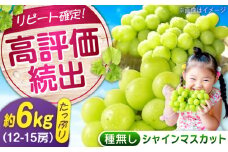 【ふるさと納税】数量限定/9月上旬〜9月下旬頃発送 沼隈ぶどう「シャインマスカット」 約2kg×3(12〜15房) 広島県福山市/福山市農業協同組合　沼隈グリーンセンター ぶどう ブドウ 葡萄 種なし 大粒 マスカット シャインマスカット[BAEV012]