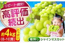 【ふるさと納税】数量限定/9月上旬〜9月下旬頃発送 沼隈ぶどう「シャインマスカット」 約2kg×2(8〜10房) 広島県福山市/福山市農業協同組合　沼隈グリーンセンター ぶどう ブドウ 葡萄 種なし 大粒 マスカット シャインマスカット[BAEV011]