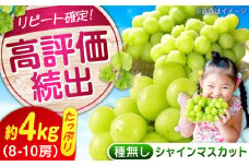 【ふるさと納税】数量限定/9月上旬〜9月下旬頃発送 沼隈ぶどう「シャインマスカット」 約2kg×2(8〜10房) 広島県福山市/福山市農業協同組合　沼隈グリーンセンター ぶどう ブドウ 葡萄 種なし 大粒 マスカット シャインマスカット[BAEV011]