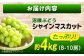 果物 フルーツ デザート 旬 期間限定 シャインマスカット マスカット 大粒