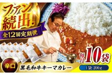【全12回定期便】　秘密の黒毛和牛キーマカレー10袋　カレー 冷凍 辛口 レストラン おすすめ 人気 福山 広島県福山市/株式会社グリル壱乃藏[BACI012]