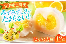 【全3回定期便】お菓子 はっさく大福12個入 お菓子 大福 八朔 柑橘 みかん オレンジ 餅 ギフト お取り寄せ スイーツ フルーツ大福 ご当地 菓子 おかし デザート 食品 人気 おすすめ 広島県福山市/株式会社虎屋本舗[BADH014]