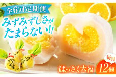 【全6回定期便】お菓子 はっさく大福12個入 お菓子 大福 八朔 柑橘 みかん オレンジ 餅 ギフト お取り寄せ スイーツ フルーツ大福 ご当地 菓子 おかし デザート 食品 人気 おすすめ 広島県福山市/株式会社虎屋本舗[BADH015]