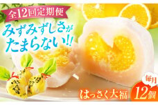 【全12回定期便】お菓子 はっさく大福12個入 お菓子 大福 八朔 柑橘 みかん オレンジ 餅 ギフト お取り寄せ スイーツ フルーツ大福 ご当地 菓子 おかし デザート 食品 人気 おすすめ 広島県福山市/株式会社虎屋本舗[BADH016]